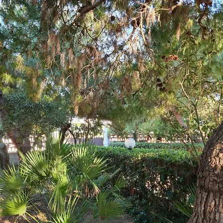 Cino וילה