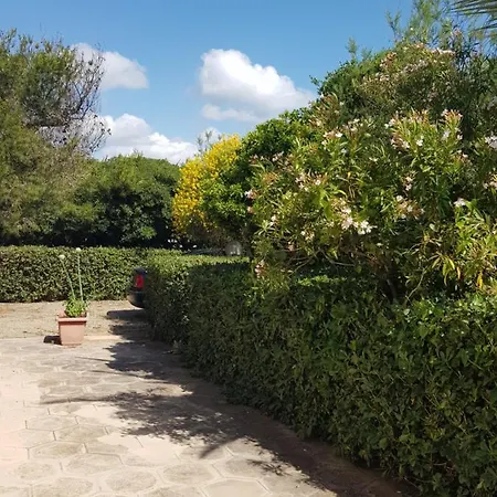 Villa Cino *