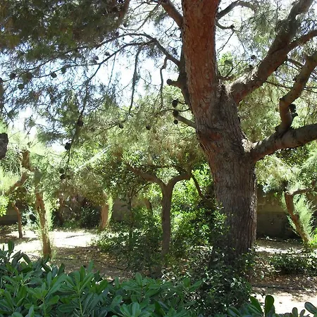 Cino * 普罗斯西托角