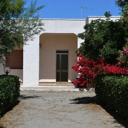 Cino Пунта-Прошутто